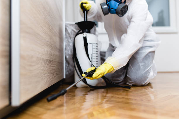 Best Flea Control Services  in Richmond, IL