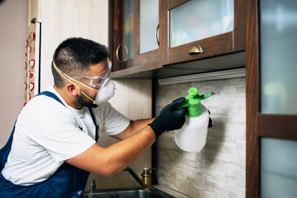 Best Pest Control for Businesses  in Richmond, IL