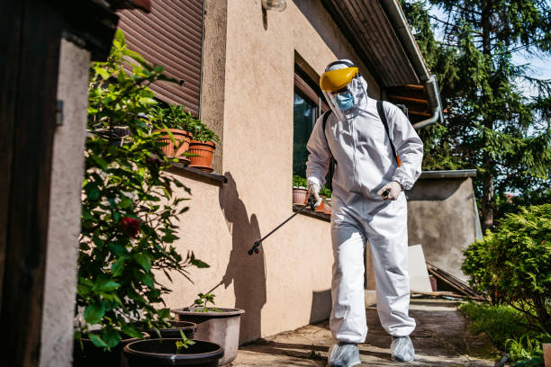 Best Bed Bug Extermination  in Richmond, IL