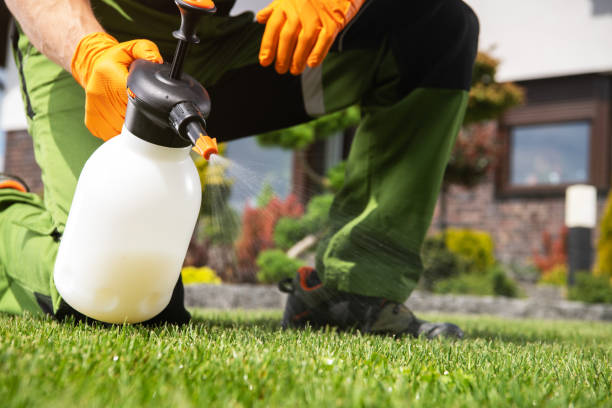Best Pest Prevention Services  in Richmond, IL