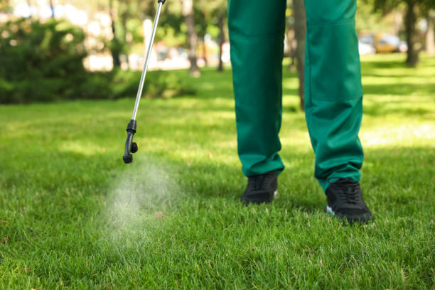 Best Cockroach Control Services  in Richmond, IL