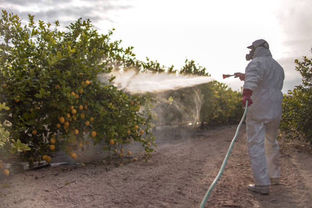  Richmond, IL Pest Control Pros
