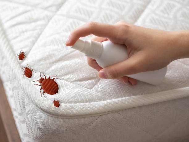 Reliable Richmond, IL Pest Control Solutions