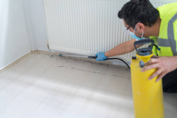 Trusted Richmond, IL Pest Control Experts
