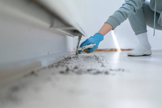 Best Pest Removal Services  in Richmond, IL